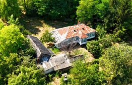 Casă bătrânească cu bucătărie de vară, 100 mp, teren 3.000 mp, zona Raducaneni