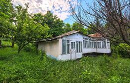Casă bătrânească cu bucătărie de vară, 100 mp, teren 3.000 mp, zona Raducaneni