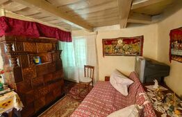 Casă bătrânească cu bucătărie de vară, 100 mp, teren 3.000 mp, zona Raducaneni