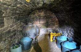 Casă bătrânească cu bucătărie de vară, 100 mp, teren 3.000 mp, zona Raducaneni