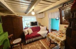 Casă bătrânească cu bucătărie de vară, 100 mp, teren 3.000 mp, zona Raducaneni