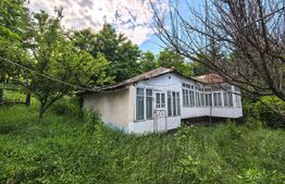 Casă bătrânească cu bucătărie de vară, 100 mp, teren 3.000 mp, zona Raducaneni