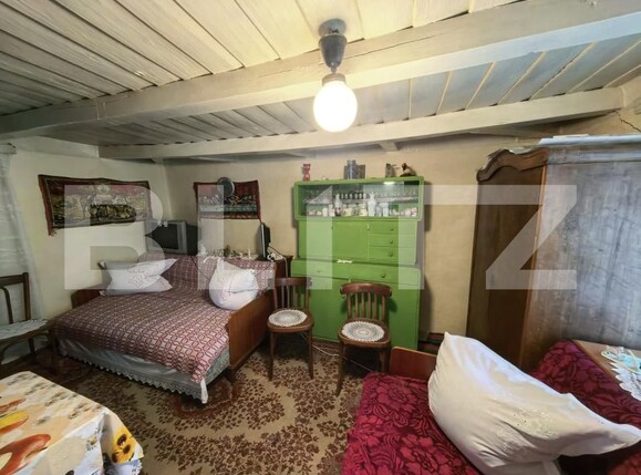 Casa de vânzare 4 camere Răducăneni - 199053CV | BLITZ Iași | Poza10