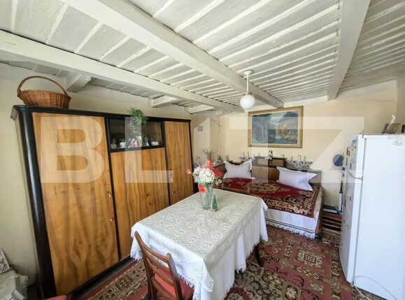 Casa de vânzare 4 camere Răducăneni - 199053CV | BLITZ Iași | Poza12