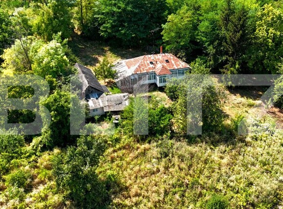 Casa de vânzare 4 camere Răducăneni - 199053CV | BLITZ Iași | Poza3