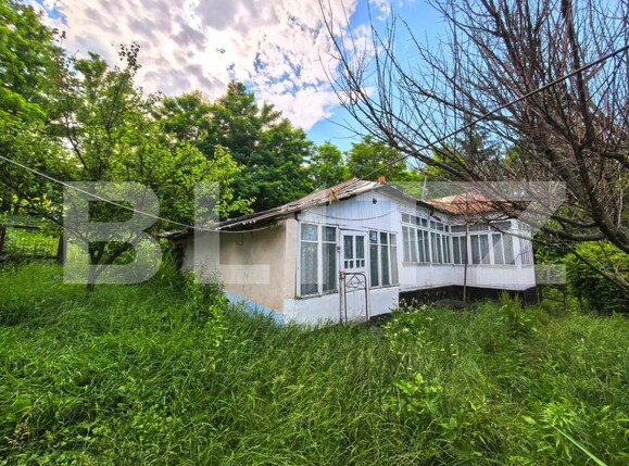 Casa de vânzare 4 camere Răducăneni - 199053CV | BLITZ Iași | Poza4