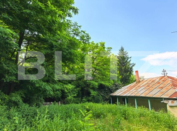 Casa de vânzare 4 camere Răducăneni - 199053CV | BLITZ Iași | Poza5