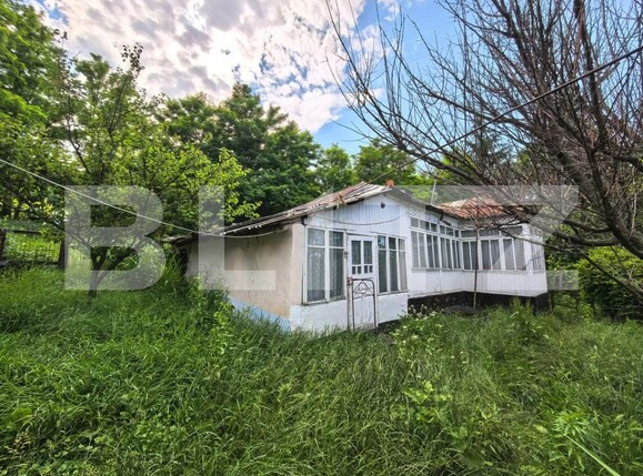 Casa de vânzare 4 camere Răducăneni - 199053CV | BLITZ Iași | Poza1