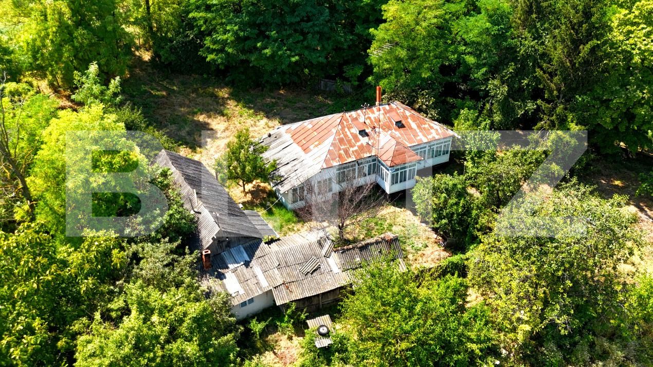 Casa de vânzare 4 camere Răducăneni - 199053CV | BLITZ Iași | Poza2