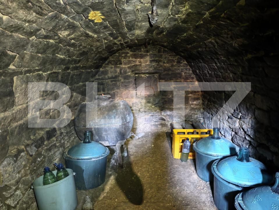 Casa de vânzare 4 camere Răducăneni - 199053CV | BLITZ Iași | Poza7