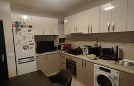 Vilă exclusivistă în Copou – Stradela Sărărie | 180 mp utili | Teren 390 mp | 