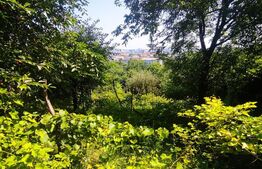 Teren 2.889 mp, PUZ P+2, toate utilitățile, Șoseaua Tudor Neculai