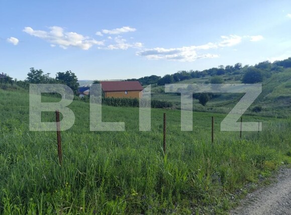 Teren de vânzare Valea Lupului - 199414TV | BLITZ Iași | Poza1