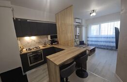 Apartament cu 2 camere, 38 mp,  mobilat si utilat complet, zona Tatarasi