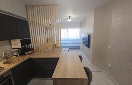 Apartament cu 2 camere, 38 mp,  mobilat si utilat complet, zona Tatarasi