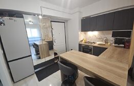 Apartament cu 2 camere, 38 mp,  mobilat si utilat complet, zona Tatarasi