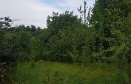 Teren 2.500 mp, Șos. Bârnova, la 1 km de Șos. Bucium