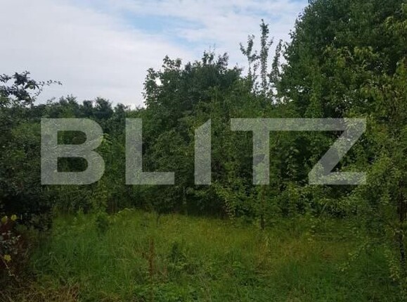 Teren de vânzare Bucium - 199647TV | BLITZ Iași | Poza1