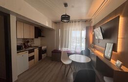Apartament cu 2 camere, 33 mp, zona Pacurari