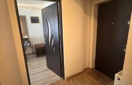 Apartament cu 2 camere, 33 mp, zona Pacurari
