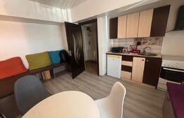 Apartament cu 2 camere, 33 mp, zona Pacurari