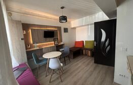 Apartament cu 2 camere, 33 mp, zona Pacurari