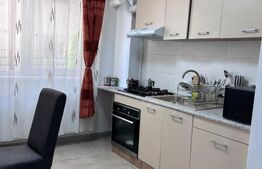 Apartament 2 camere, 45.50 mp, zona Valea Lupului