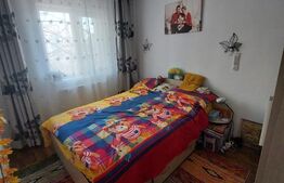 Apartament cu 3 camere, 46 mp, zona Pacurari