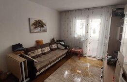Apartament cu 3 camere, 46 mp, zona Pacurari