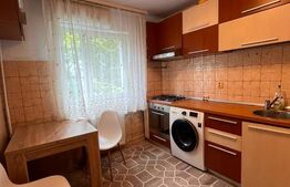 Apartament o camera, 30 mp, etaj intermediar, zona Podu Ros