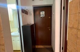 Apartament o camera, 30 mp, etaj intermediar, zona Podu Ros