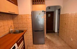 Apartament o camera, 30 mp, etaj intermediar, zona Podu Ros