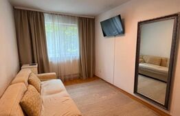 Garsonieră de vânzare Nicolina - 94667AV | BLITZ Iași | Poza2