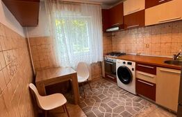 Apartament o camera, 30 mp, etaj intermediar, zona Podu Ros