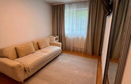 Apartament o camera, 30 mp, etaj intermediar, zona Podu Ros