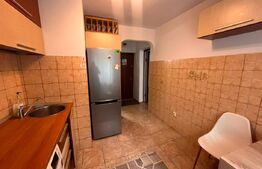 Apartament o camera, 30 mp, etaj intermediar, zona Podu Ros