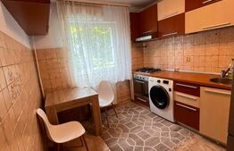 Apartament o camera, 30 mp, etaj intermediar, zona Podu Ros