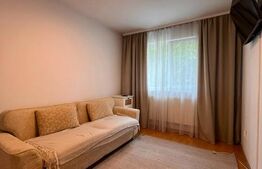 Apartament o camera, 30 mp, etaj intermediar, zona Podu Ros