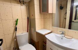 Apartament o camera, 30 mp, etaj intermediar, zona Podu Ros