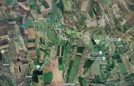 Teren intravilan 50.000 mp Iepureni