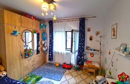 CASA 4 CAMERE 110 MP I TEREN 405 MP I VALEA URSULUI DUPA MEGA IMAGE