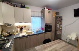 CASA 4 CAMERE 110 MP I TEREN 405 MP I VALEA URSULUI DUPA MEGA IMAGE