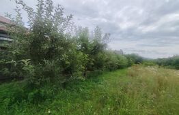 Casa 120 mp utili, 2850 mp teren, zona Bucium