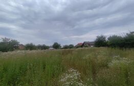 Casa 120 mp utili, 2850 mp teren, zona Bucium