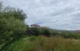 Casa 120 mp utili, 2850 mp teren, zona Bucium