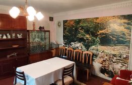Casa 120 mp utili, 2850 mp teren, zona Bucium