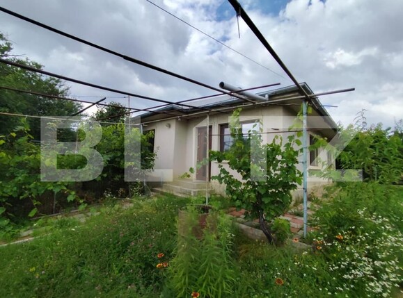 Casa de vânzare 4 camere Bucium - 200492CV | BLITZ Iași | Poza13