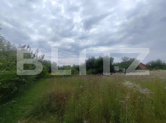 Casa de vânzare 4 camere Bucium - 200492CV | BLITZ Iași | Poza9
