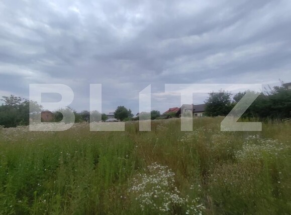 Casa de vânzare 4 camere Bucium - 200492CV | BLITZ Iași | Poza8