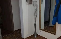Apartament 2 camere, 50 mp, zona Canta